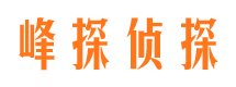 庐江市调查公司